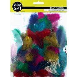 AussieSuperStore Art & Craft Essentials Craft Feathers Hen Craft Feathers Hen | Artificial Feathers 9331468048992 VCF31